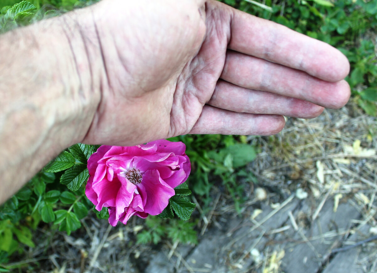 У меня 12 размер перчаток