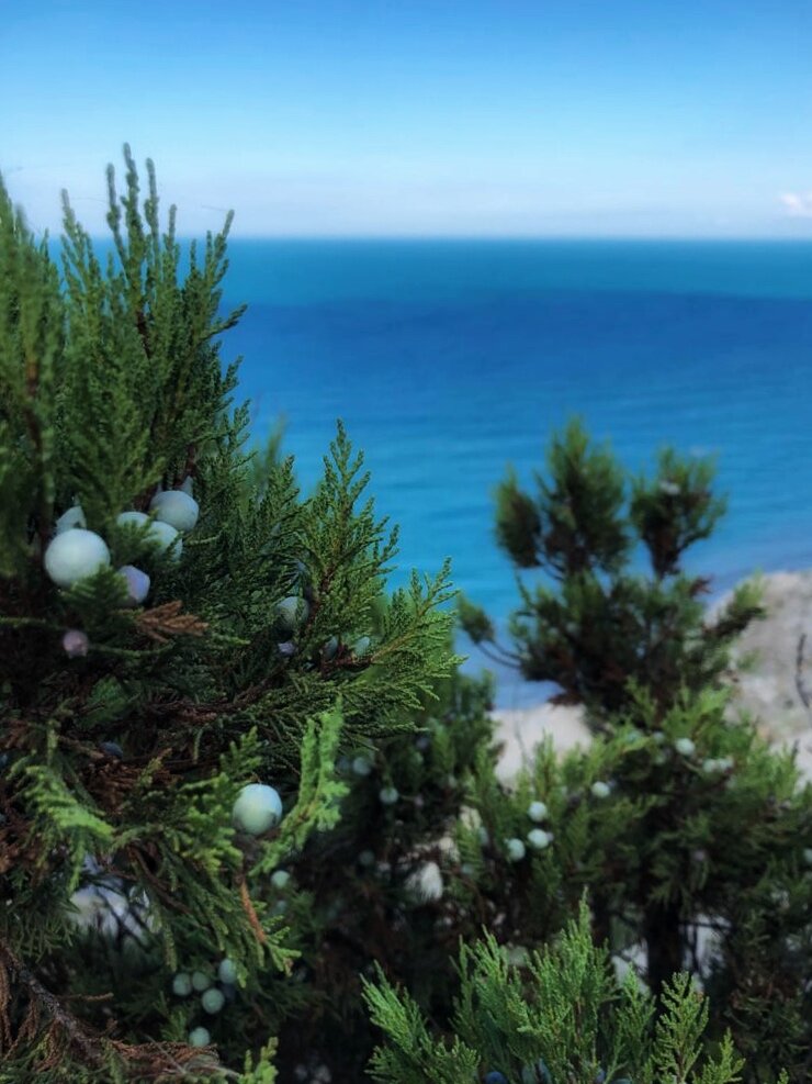 Приморские пейзажи стоят того, чтобы ими любоваться почаще