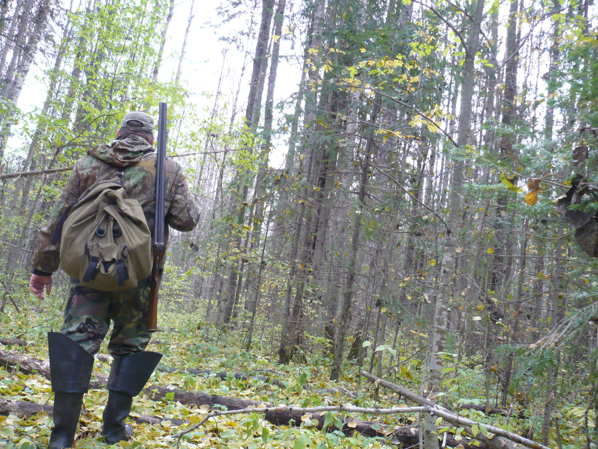 Фото автора.