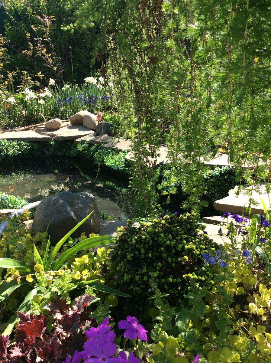 4. В галерее 2 фото, листайте