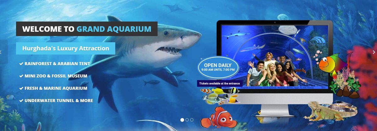 Рекламный баннер развлекательного комплекса, где планируют выставить акулу-людоеда