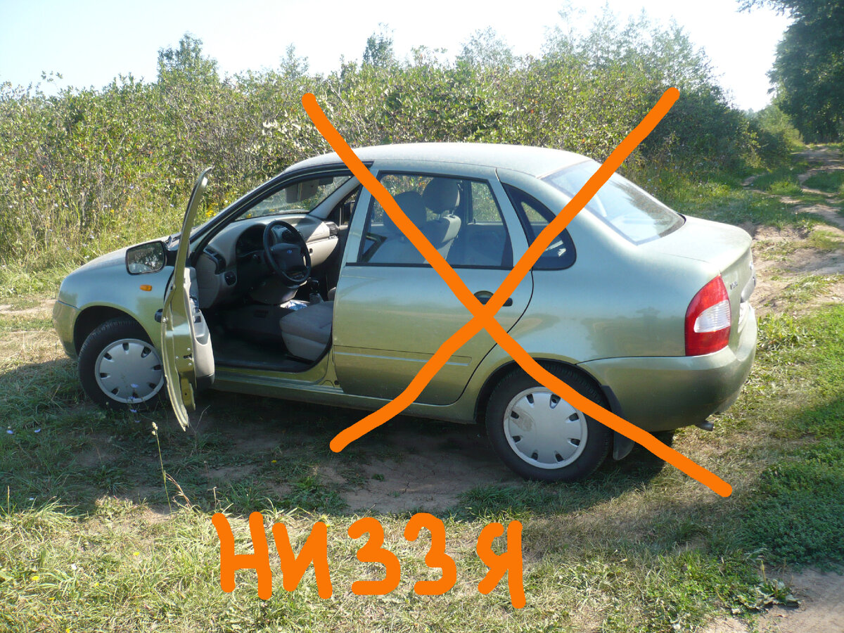 Фото автора.