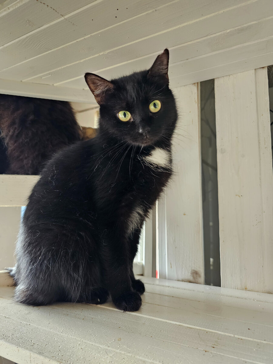Фото автора. Изюм к себе не подпускает, но на расстоянии можно по фоткаться.