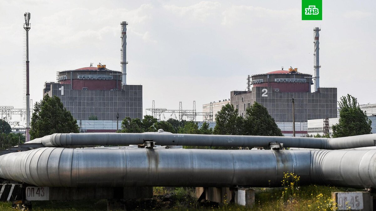    Фото: РИА Новости © 2023, Константин Михальчевский