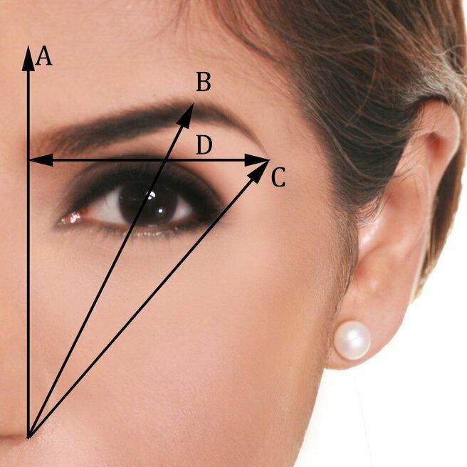 Как правильно определить свою форму бровей