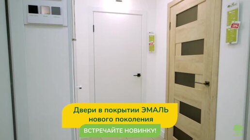 Новинка 💣 Двери в покрытии ЭМАЛЬ нового поколения. Компания Dverilab обладает статусом официального дилера производителя дверей «Альберо».