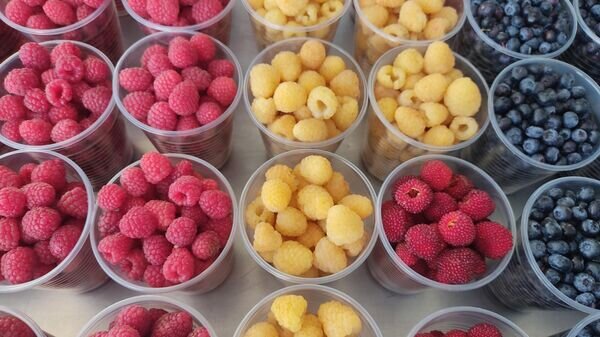    © Sputnik / Ольга Деменчук