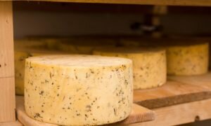    Фото: freepik.com Анна Полякова