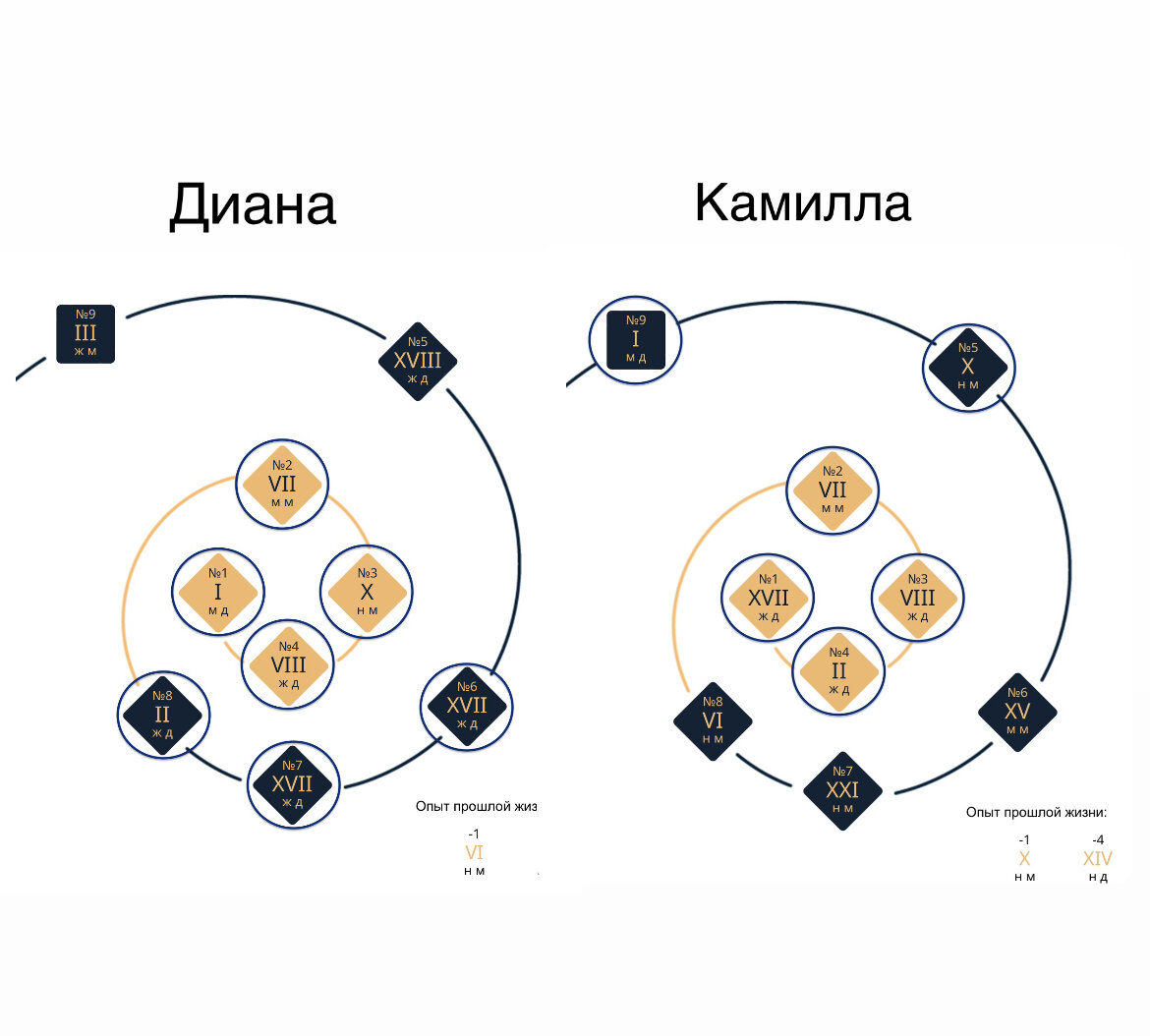 Что объединяет Леди Диану и <b>Камиллу</b> Паркер Боулз помимо Чарльза? 