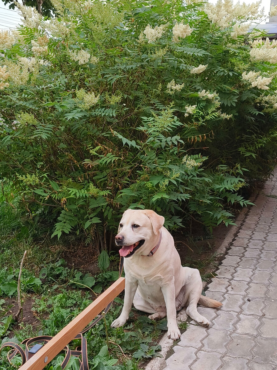 Бьюша моя фотомодель