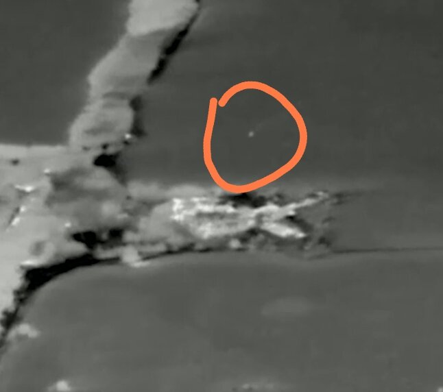 находка ядро. находки наших читателей урса. кладоискательство туризм. бобры придавленные деревьями. находки наших читателей урса.