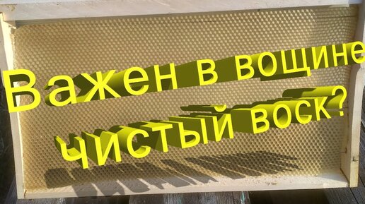 Профессор Кашковский: Насколько важна вощина из чистого воска?