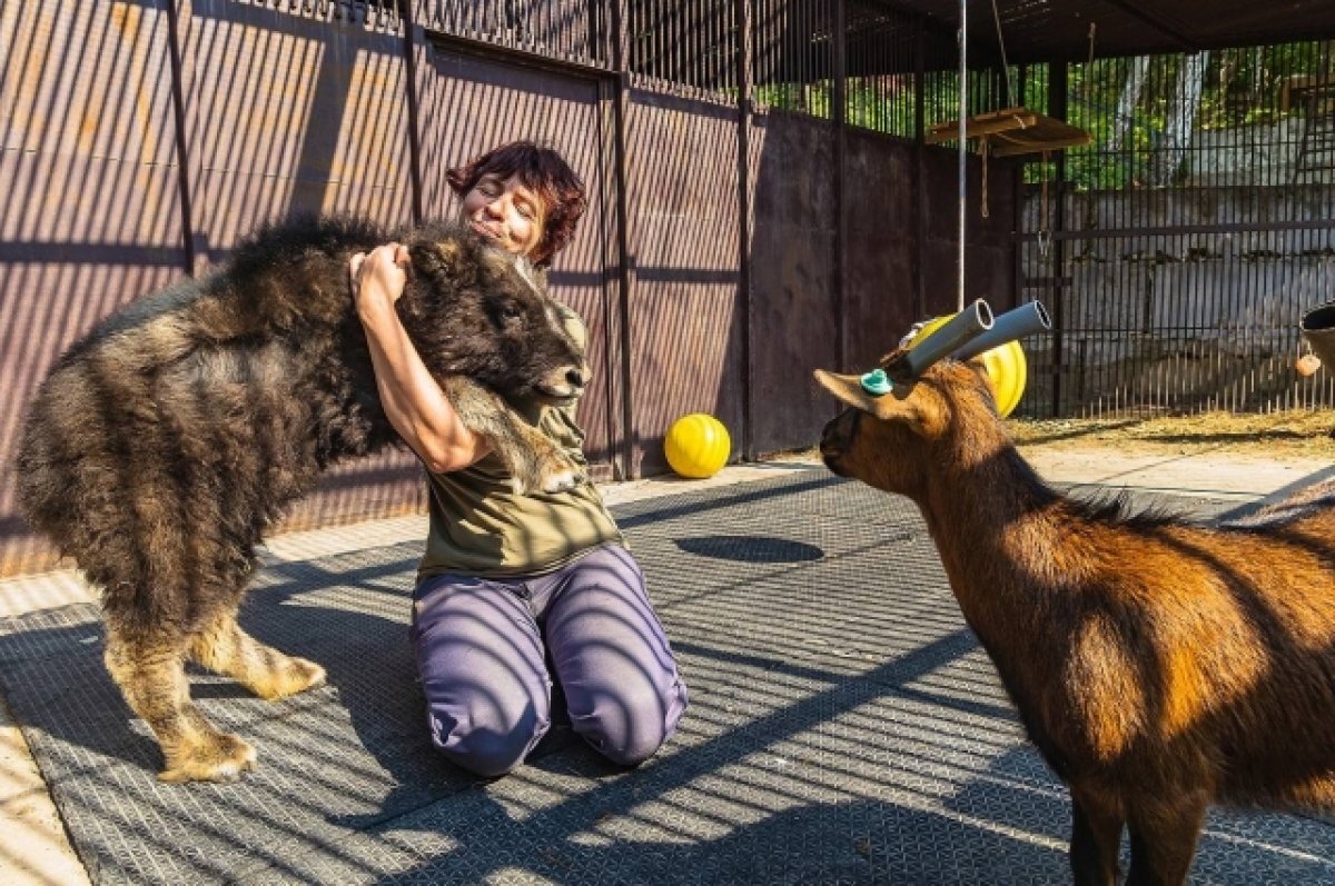    Как и все дети, Алана любит обниматься.