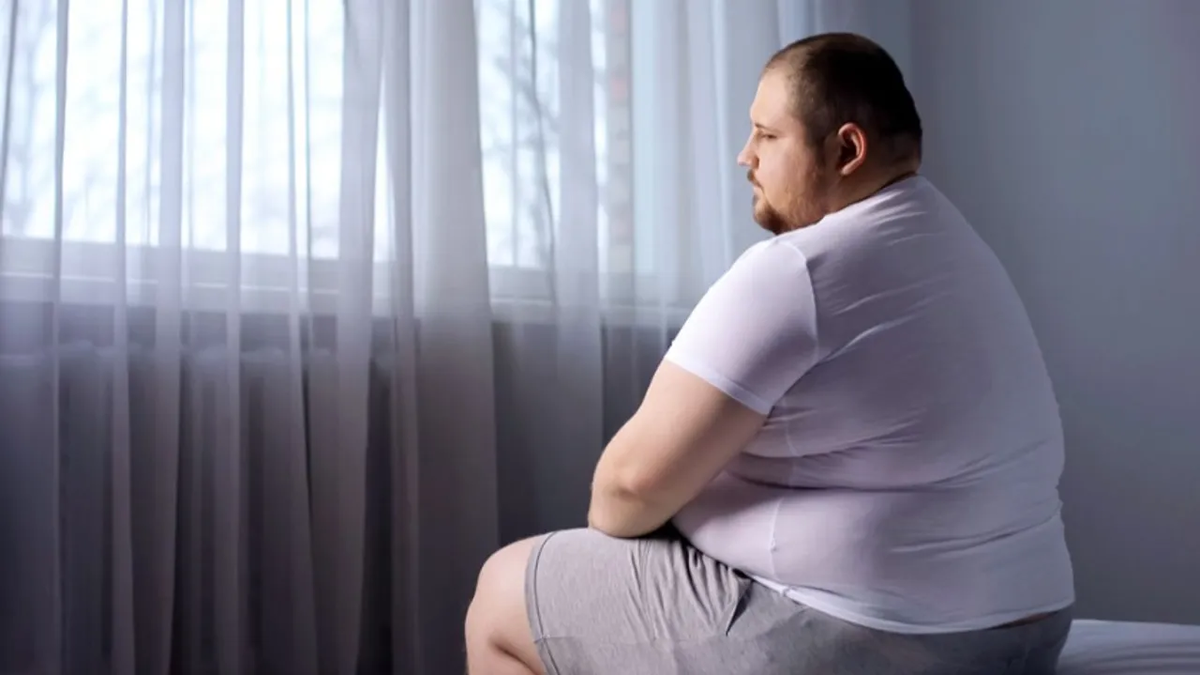 Механизмы воздействия ожирения на мозг