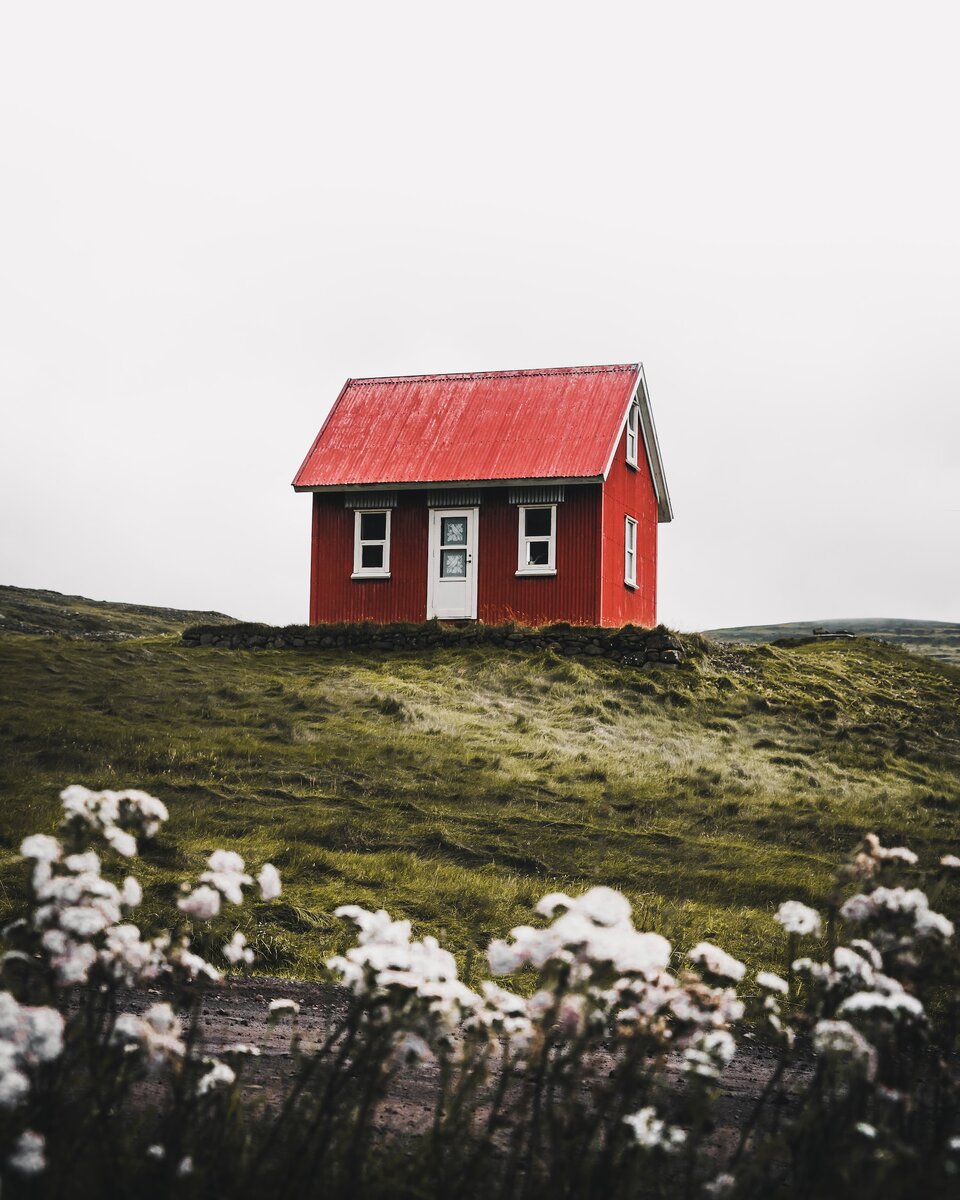 Photo by Luke Stackpoole / Unsplash