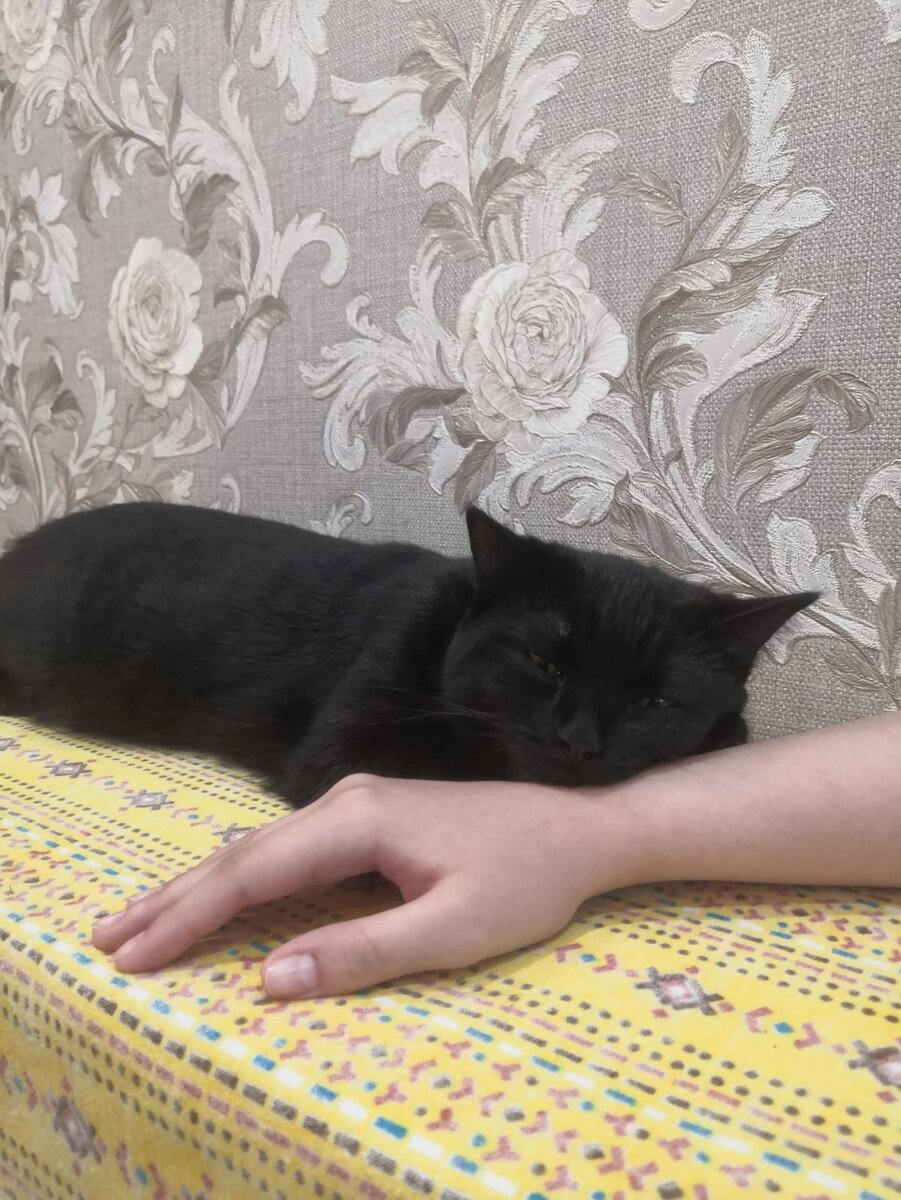 Покимарю ещё чуток) 