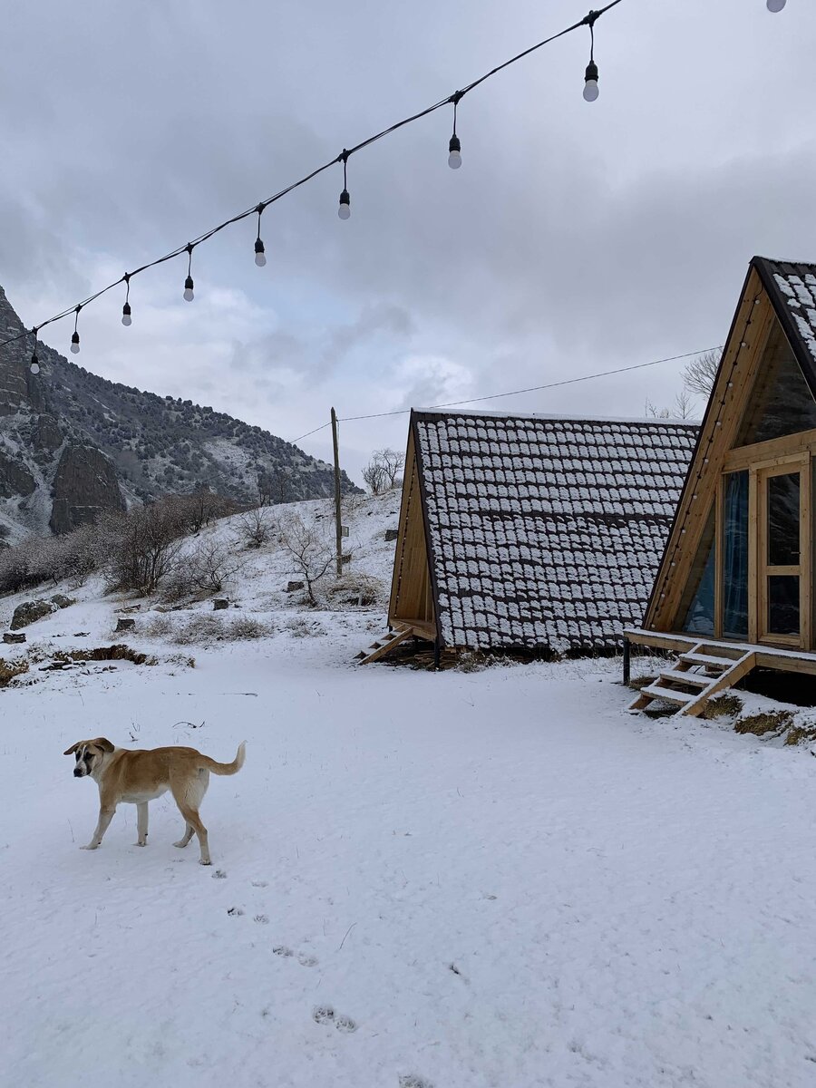 Глэмпинг Elegis Village Resort