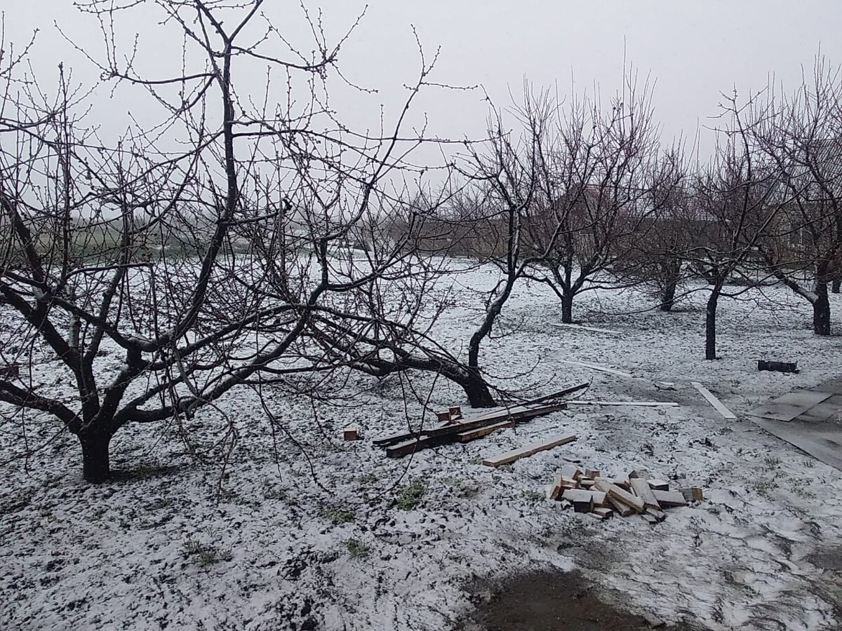 Весна на передке, я думала почему-то, на Украине уже давно все растаяло