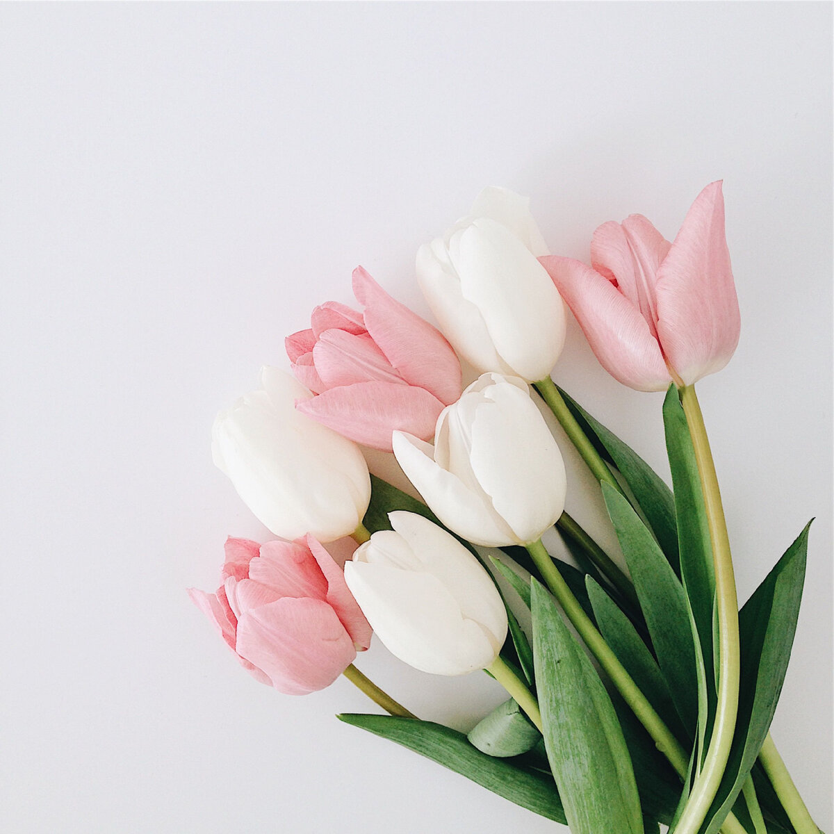 Сохраняй подборку и ставь лайк если было полезно 👍🌸