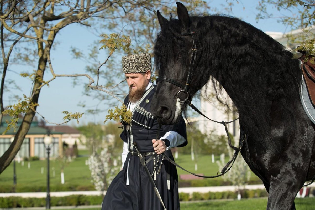 Фото коня кадырова