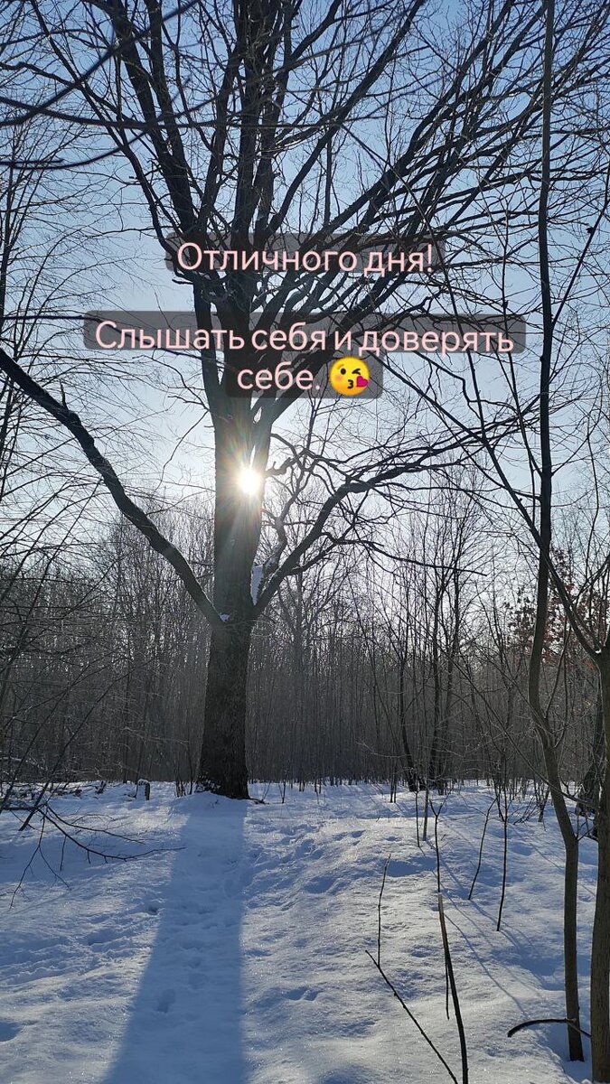 отличного дня!