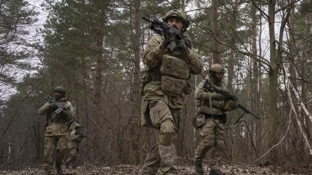 Взято из общего доступа.