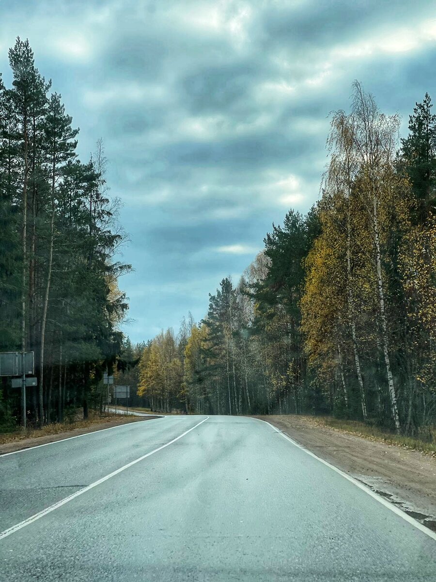 Дорога на дачу 