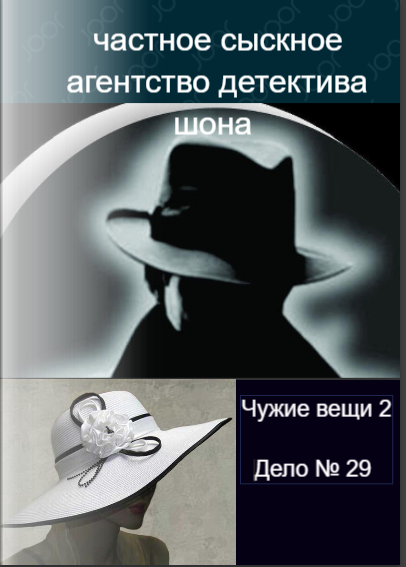 Частное сыскное агентство детектива Шона. Дело №29. Чужие вещи-2