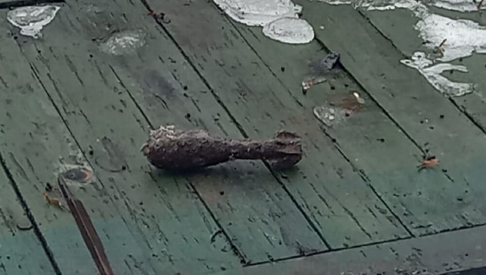 Фото: ГУ МЧС России по Брянской области