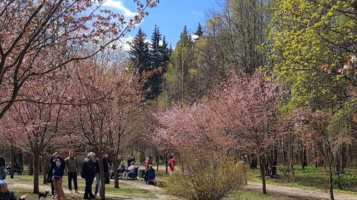 ФОТО:https://sun1-28.userapi.com/s/v1/ig2/v335xcTBMaQ0DZzay7K937VTAUeeYSvl0xDrjBQpmYVf53xS4HdEr_RmxEDW1Qw3orDOX9X5F6QDgENTfZ5pZXKs.jpg?size=1280x720&quality=96&type=album