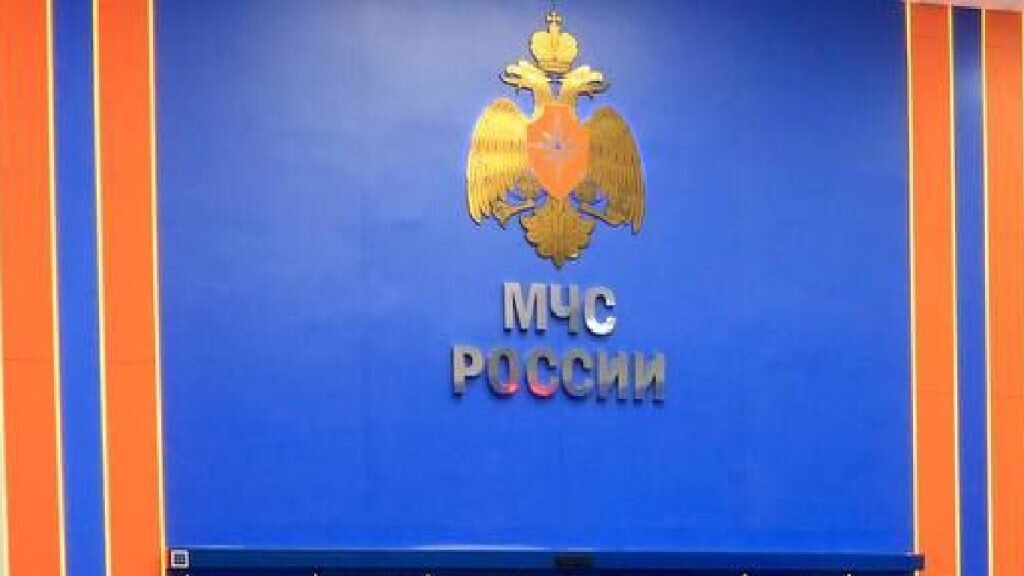    Фото: t.me/mchs_official Елена Стеценко