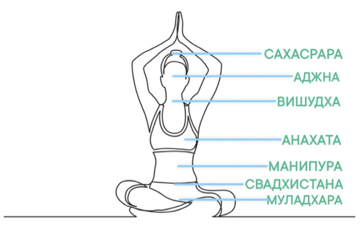 Расположение чакр человека 