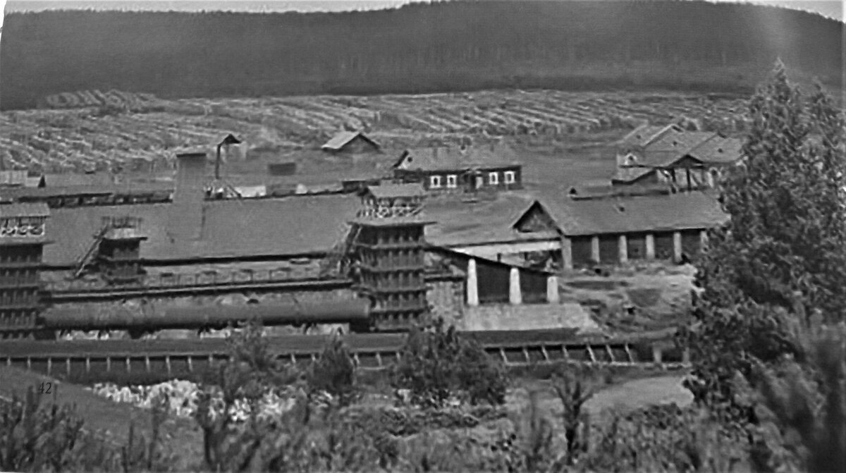 Соломирский Д. П. Верхнесысертский завод, 1890-е гг. СОКМ. Фото из [3]