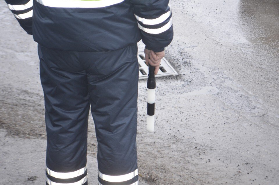     Фото автора.