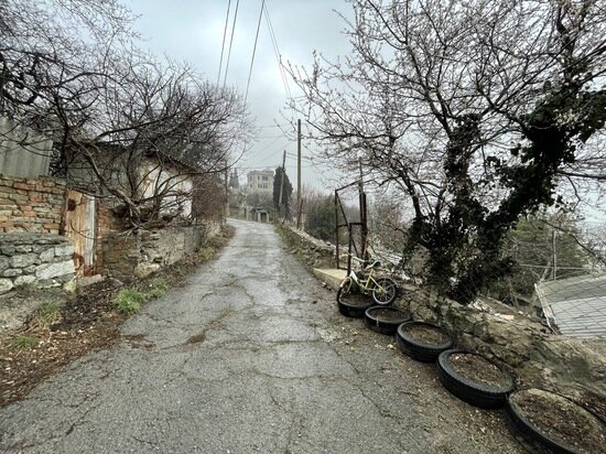     фото: crimea.mk.ru
