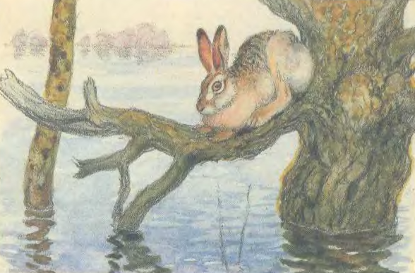 Н. Картина а. Комарова наводнение заяц. Наводнение заяц. Н.