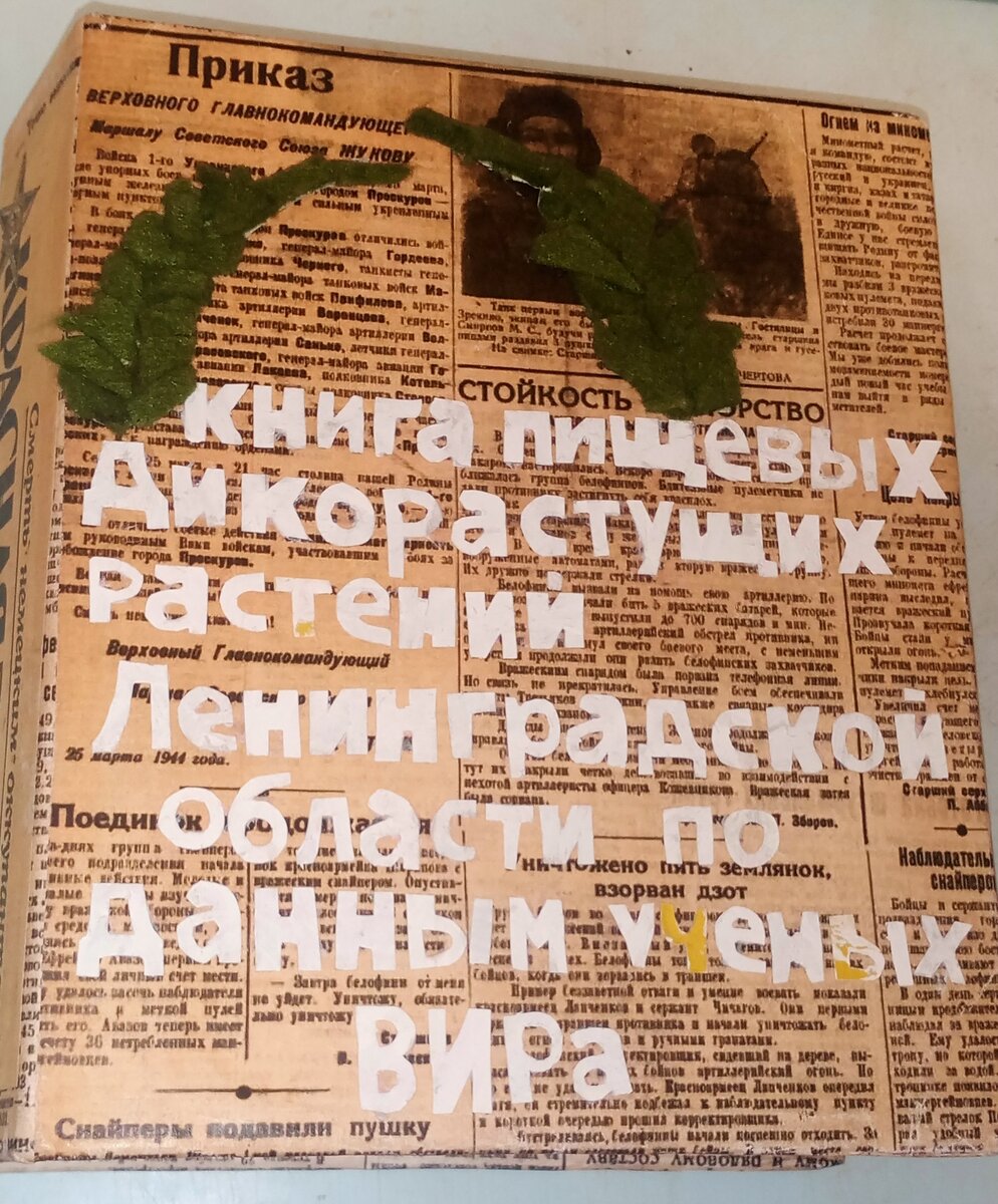 Фронтальная часть
