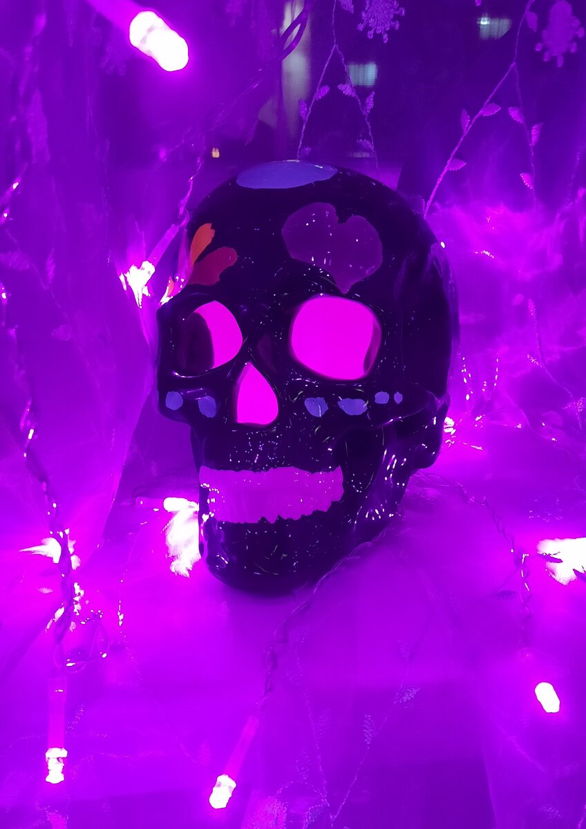 Глаша в объятиях розового)) Давно ее не было видно, поэтому сегодня Глафира всецело с нами, погружается в цифровой неоновый ад) 