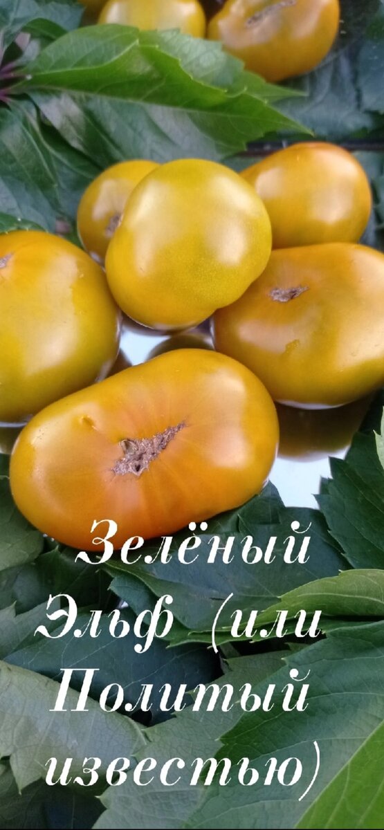 Фото Светланы Русаковой 