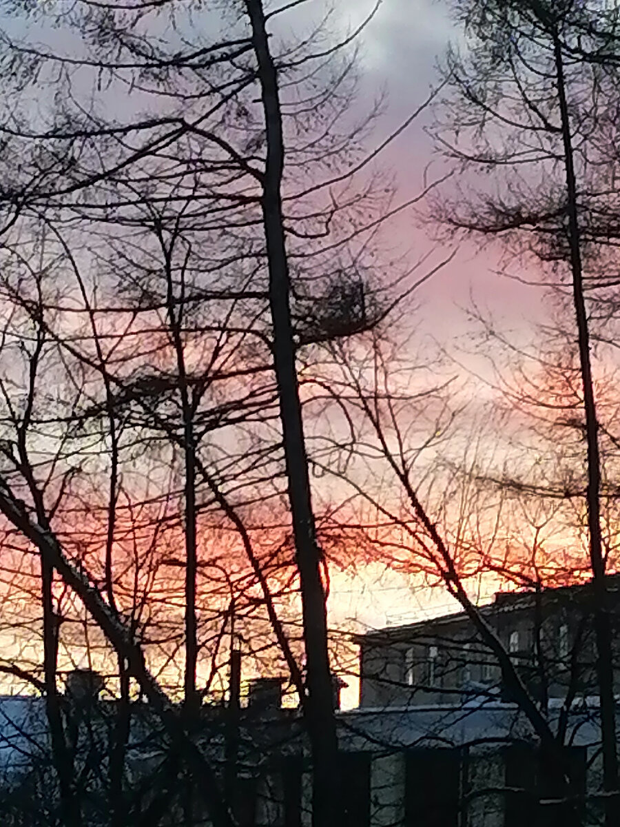 каждый закат - это смерть художника. фото моё. 