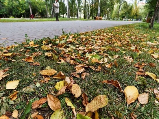     ФОТО: ГУСТАВО ЗЫРЯНОВ / МК В ОМСКЕ