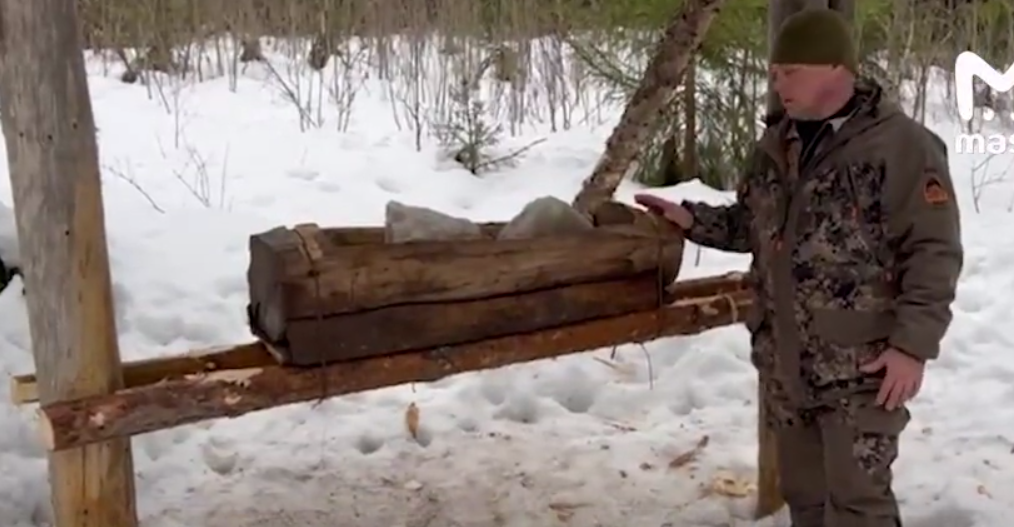 Солонцы для лосей - необходимость