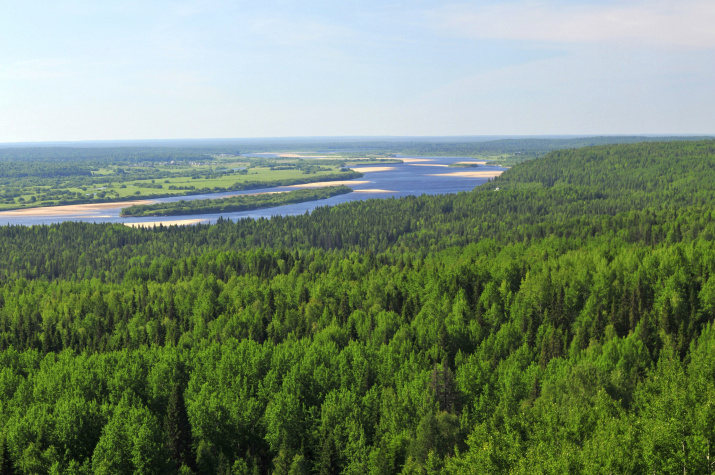Пинежский таежный край. Панорама долины реки Пинега. Фото: Владимир Горбатовский