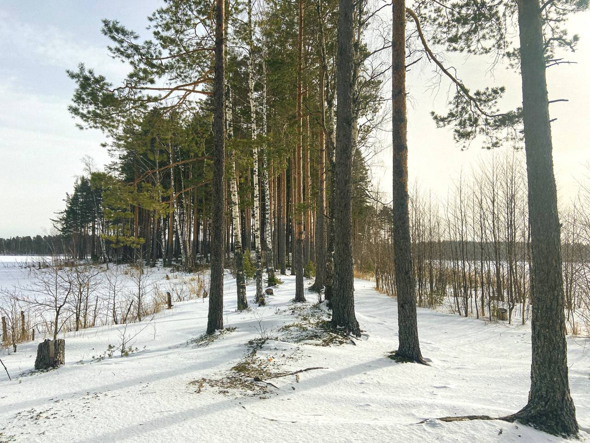 Фото из телеграм-канала «город при озере»