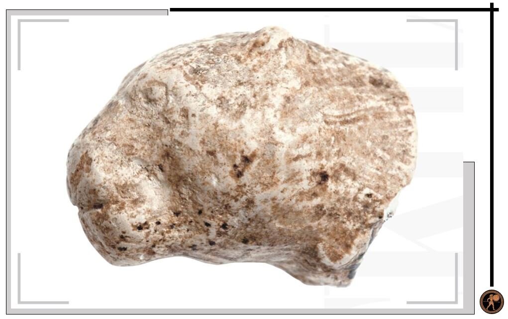 Изображения для статьи взяты с ресурса https://lib.kunstkamera.ru/