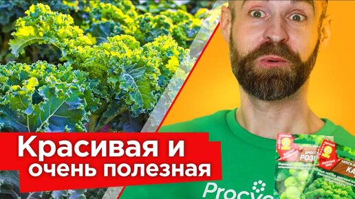 Я в восторге от этой капусты! Вот зачем и как правильно выращивать кале и брюссельскую капусту