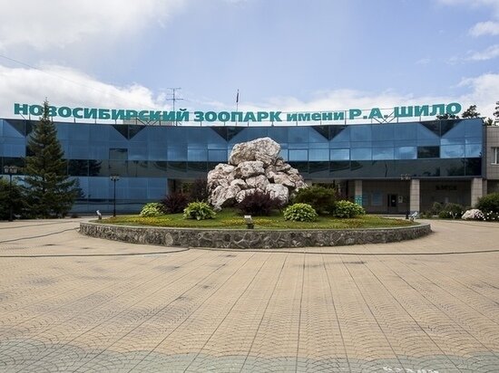     фото густаво зырянова/мк в новосибирске