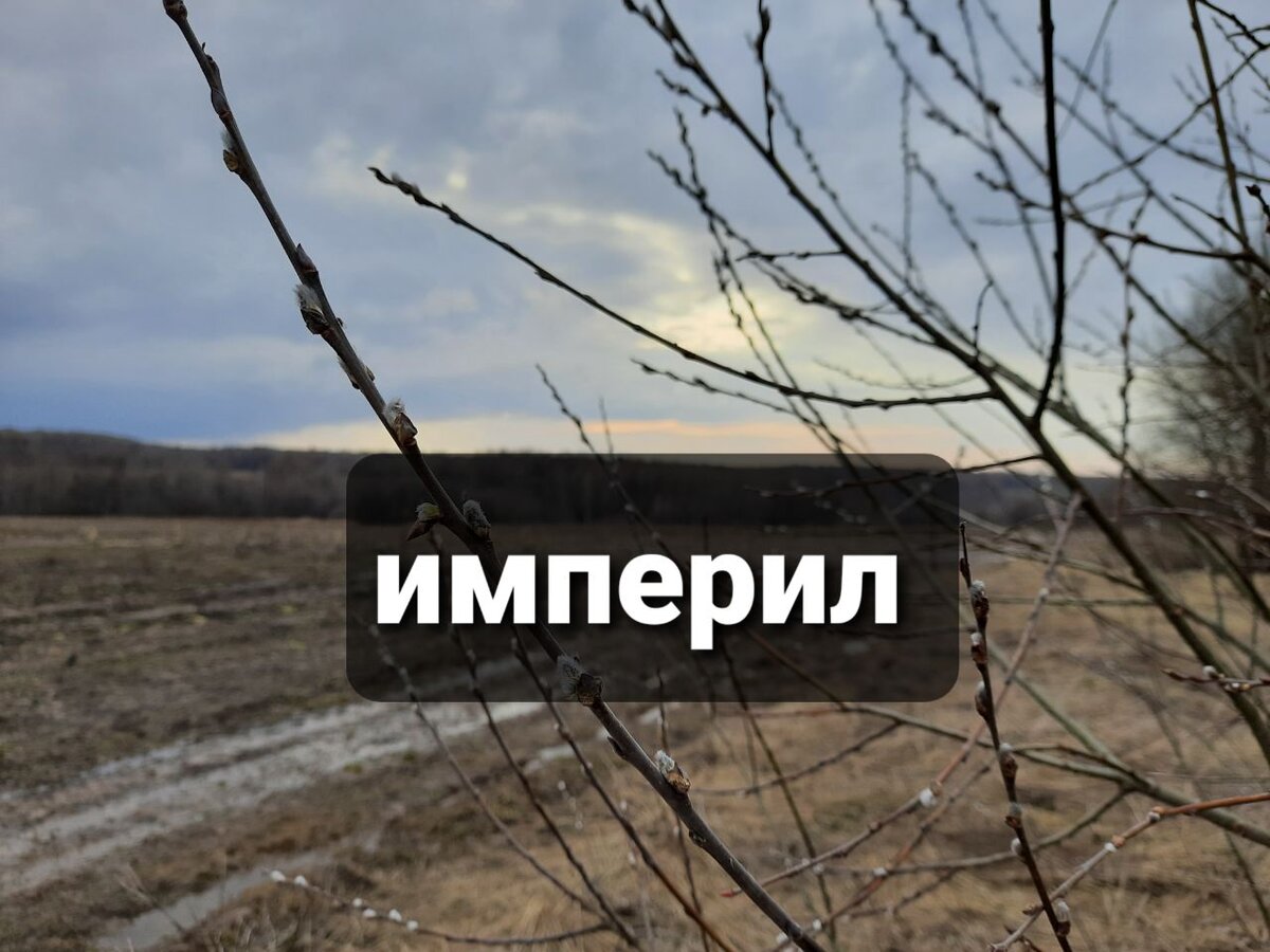 фото из личного архива