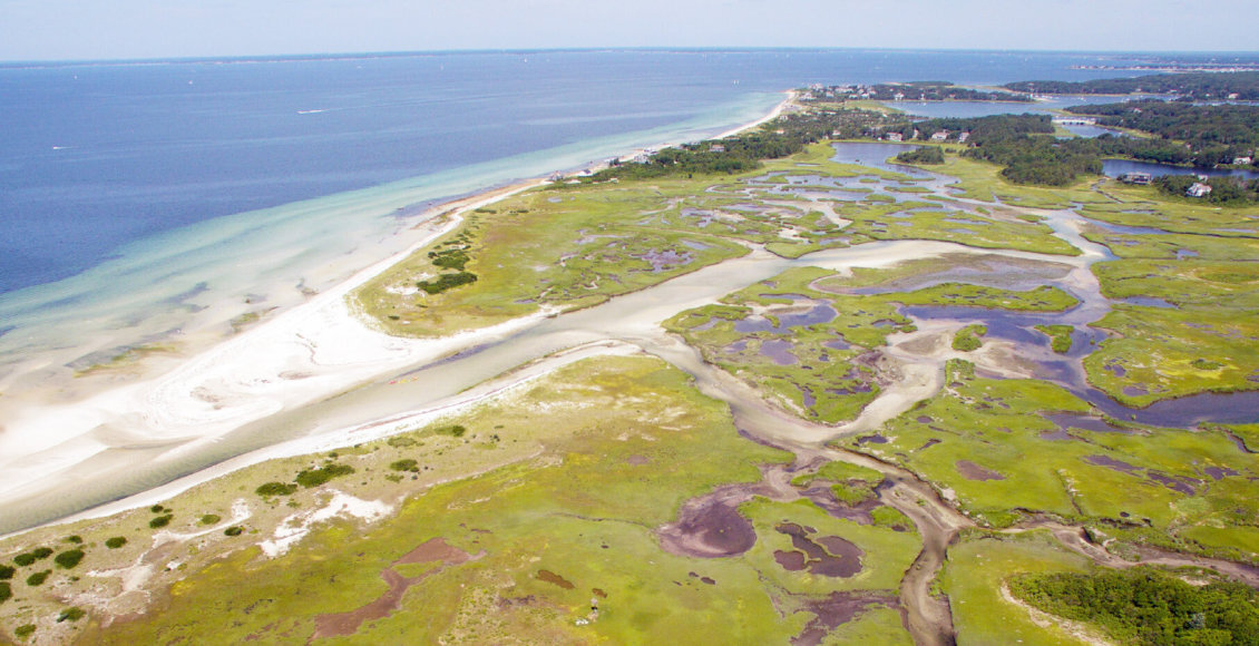    Фото: Valelia et al, Science of the Total Environment