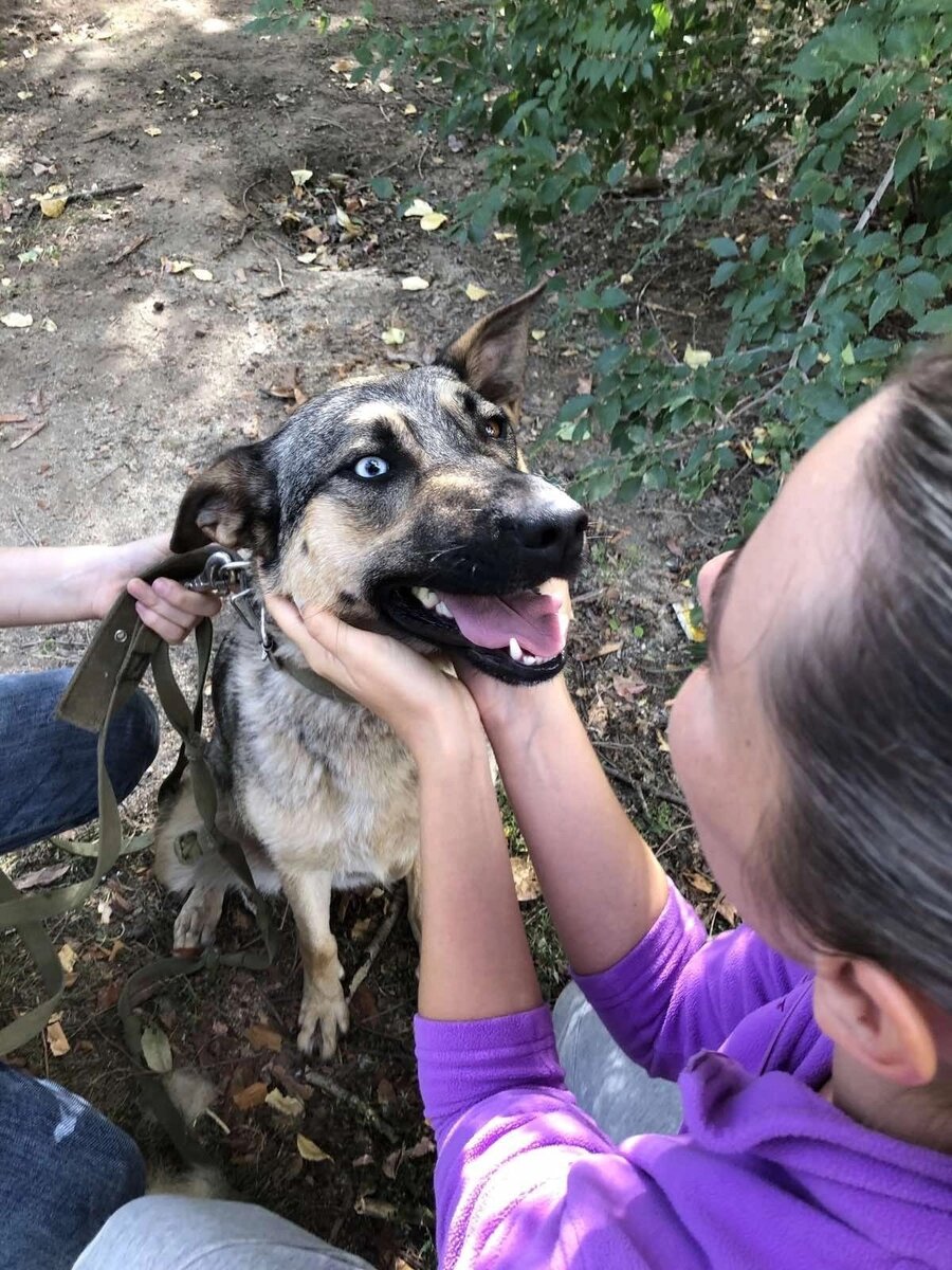 Часть нашей команды- это 